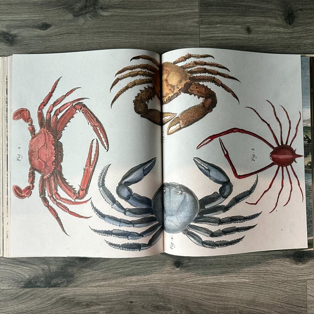 Eye Illustration Coffee Table Book - Beige and Brown Cover - Picture 5 of 7